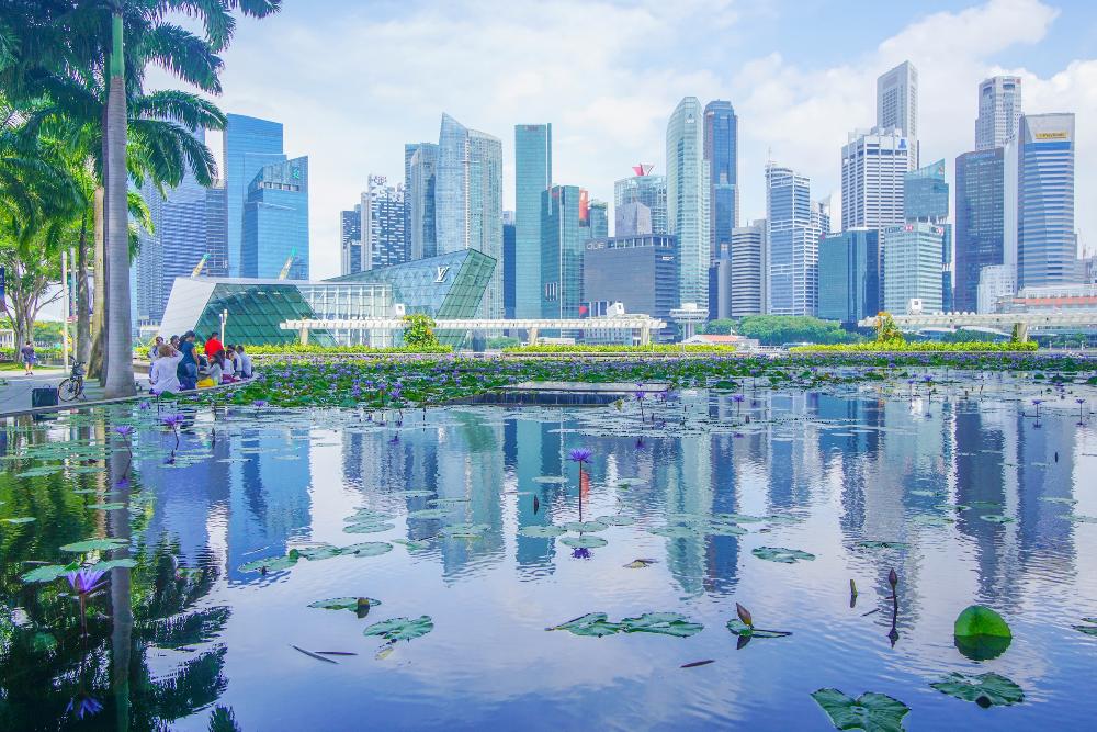 Singapore pond